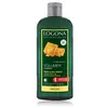 Image de Logona Volumen Shampoo Bio-Honig & Bier Shampoing 1000 ml