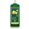 Image de Logona Bière & miel bio Volumes Shampoing 1000 ml