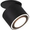 Image de Trio, Plafonnier, 652910132 (450 lm)