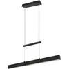 Image de Trio, Suspension, Paros (3000 lm)