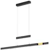 Image de pfister, Suspension, Led Trajan (5300 lm)