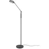 Image de Trio, Lampadaire, Franklin LED Floor Lamp, 650 lm, 2700/3200/4000 K, 6.5 W, Anthracite (650 lm)