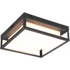 Image de Trio, Plafonnier, 677860142 LED-DL WITHAM, 14W (1550 lm)