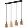 Image de Trio, Suspension, Lampe à Suspendre Agudo 4-Pc E27 Multicolore (E27)