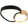 Image de Trio, Plafonnier, Rise LED Plafonnier 21W dimmable noir-or CCT couleur de lumière réglable Veilleuse (2400 lm)