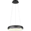 Image de Trio, Suspension, Suspension LED 29W Cardon 2300-4000K 2000lm 1LED LED non interchangeable sw (3300 lm)