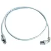 Image de Telegärtner MP8 FS 500 (S/FTP, CAT6a, 2 m), Câble réseau