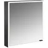 Image de Emco, Armoire de toilette, prime Facelift armoire de toilette lumineuse, 600 mm, 1 porte, charnières à gauche, avec paro (60 x 152 x 70 cm)