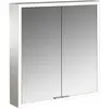 Image de Emco, Armoire de toilette, prime Armoire de toilette avec éclairage, 600 mm, 2 portes, modèle apparent, 949706361, 949706361 (60 x 16.70 x 70 cm)