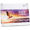 Image de Pelikan, Cartouche d'impression, 16XL (C, CF, M, Y)