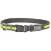Image de Kerbl Collier lumineux Light & Reflex (45, 46, 47, 48, 49, 50, 52, 54, 56, 58, 60, 62, Chien), Collier + laisse