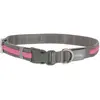 Image de Kerbl Collier lumineux Light & Reflex rose, M/L (L, M, Chien), Collier + laisse