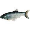 Image de Jouet pour chats Jumping Fish de Kerbl Pet