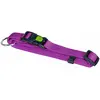 Image de Kerbl Collier Miami (10, Chien), Collier + laisse