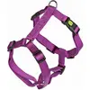 Image de Kerbl Vaisselle Miami (56, 58, 60, 62, 68, Chien, Général), Collier + laisse