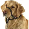 Image de Kerbl Harnais d'entraînement et d'éducation (5, Chien, Sport canin), Collier + laisse