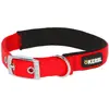 Image de Kerbl Collier Miami Plus (Chien, Général), Collier + laisse