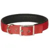 Image de Kerbl Collier Miami Plus (Chien, Général), Collier + laisse