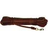 Image de Kerbl Vegas (Chien, Général), Collier + laisse