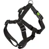 Image de Kerbl Plats Miami (Chien), Collier + laisse