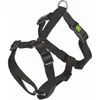 Image de Kerbl Plats Miami (Chien), Collier + laisse