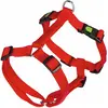 Image de Kerbl Vaisselle Miami (100, 80, 85, 90, 95, Chien, Sport canin), Collier + laisse
