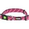 Image de Kerbl Collier Colorado (35, 36, 37, 38, 39, 40, 41, 42, 43, 44, 45, 46, 47, 48, 49, 50, 52, 54, Chien, Général), Collier + laisse