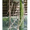 Image de Small Foot - Pont de cordes - 6998