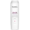 Image de Goldwell Dualsenses Color Brillanz Conditioner Après-shampoing 1000 ml