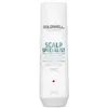 Image de Goldwell Dualsenses Scalp Specialist Anti-Dandruff Shampoo Shampoing 1000 ml