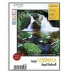 Image de Papier photo Edelweiss brillant - 180 G
