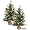 Image de 2 sapins de Noël avec guirlande - 30 LED - 60 cm