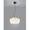 Image de Helestra, Suspension, Veda (E27)