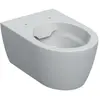 Image de Geberit, Cuvette toilettes + bidet, iCon