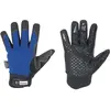Image de Stronghand, Gants de protection, Gants d'hiver Freezer, taille 10, noir/bleu (10)