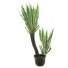 Image de EUROPALMS Orchidée-cactus , plante artificielle, 160cm