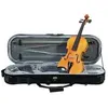 Image de Dimavery violin middle-grade 4/4