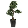 Image de EUROPALMS Bonsai podocarpus, plante artificielle, 80cm