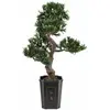 Image de Europalms, Plantes artificielles, Bonsai Podocarpus (80 cm)