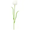 Image de Europalms, Plantes artificielles, Tulipe en cristal, fleur artificielle, blanc, 61cm 12x (61 cm)