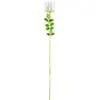 Image de EUROPALMS Crystal rose, blanc, fleur artificielle, 81cm 12x