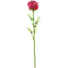 Image de Europalms, Plantes artificielles, Rose en cristal, fleur artificielle, bourgogne, 81cm 12x (81 cm)