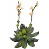 Image de Europalms, Plantes artificielles, Rose de pierre (32 cm)