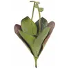 Image de Europalms, Plantes artificielles, Nénuphar (45 cm)
