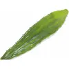 Image de Europalms, Plantes artificielles, Aloeblatt (60 cm)
