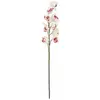Image de Europalms, Plantes artificielles, Cymbidiumzweig (90 cm)