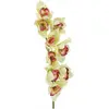 Image de Europalms, Plantes artificielles, Branche de cymbidium (90 cm)