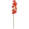Image de Europalms, Plantes artificielles, Branche de cymbidium (90 cm)