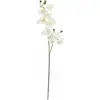 Image de Europalms, Plantes artificielles, Branche d'orchidée (100 cm)