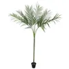 Image de EUROPALMS Areca deluxe, plante artificielle, 180cm